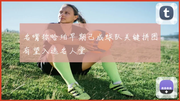 名嘴称哈珀早期已成球队关键拼图有望入选名人堂