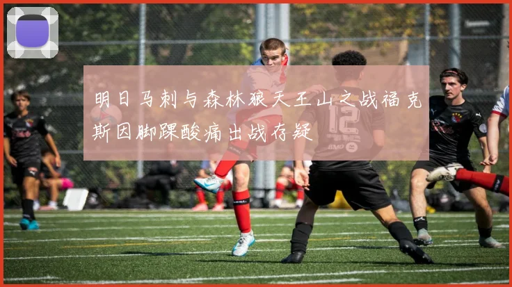 明日马刺与森林狼天王山之战福克斯因脚踝酸痛出战存疑
